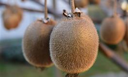 苏珊米勒一周星座运势（8.30-9.5）