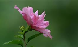 判答占星天蝎座一周运势（8.23-8.29）