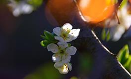 羲邑师姐生肖羊一周运势( 8月23日-8月29日)