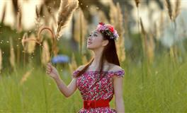 杨清华生肖狗一周运势9月13日—19日