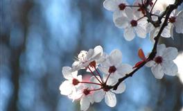 遇到真爱前，坚决不会将就结婚的四大星座