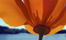 苏珊米勒每日运势2021年9月7日