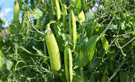 12星座中的话匣子，最能唠的五大星座