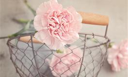 2021年底前白羊座如何提升能量变好运！