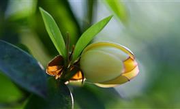 12星座日月性格:太阳水瓶座+月亮白羊座