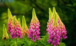 兰亚多处女座一周运势9.22-9.28