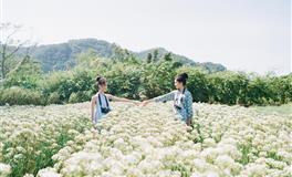 蓝蓝占星金牛座一周运程(10.4-10.10)