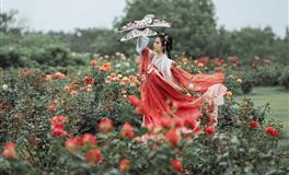 Hint占星狮子座一周运势及开运指南10.25-10.31