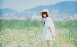 董易林生肖马2022壬寅虎年学业运