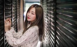 郑博士生肖虎每周运势（11.1-11.7)