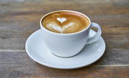 羲邑师姐生肖马一周运势(10.11-10.17)