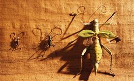 张鑫龙生肖羊农历九月运势(10.8-11.7）