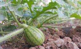 蒂姆金牛座一周运势10.24–10.30