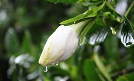 傅子绮天蝎座一周运势10.14-10.20