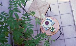 海百合狮子座一周运势(10.11-10.17)