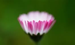 苏珊米勒每日运势2021年11月9日