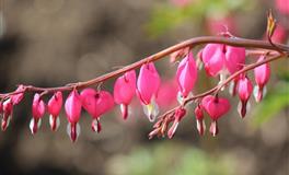 财气冲天！立冬后【财神敲门】的生肖