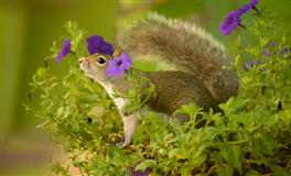 偷偷看看水瓶男心中理想对象的模样