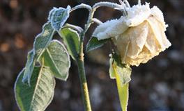 李云天水瓶座一周运势11.8—11.14