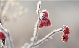 Alex狮子座一周运势（11.22-11.28）