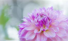 娜迪亚双子座本周运势（11.15-11.21）