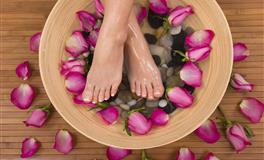 海百合白羊座一周运势(11.15-11.21)