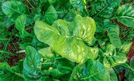 在感情中，分手都舍不得说的三大星座