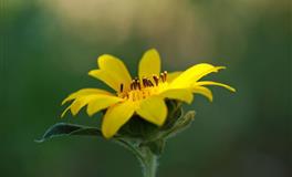 戒烟戒酒不戒你的三大星座，最痴情，最专一