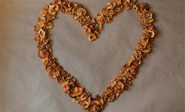 羲邑师姐一周生肖运势(11.29-12.5)