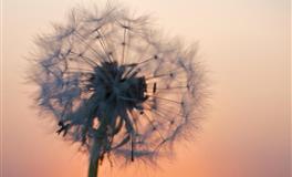 十二星座最适合跟谁恋爱，谁是天生一对，注定会在一起