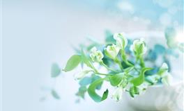 12星座男眼中女友哪些行为最加分