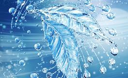 扮猪吃虎，最擅长伪装自己的4大星座，明明老谋深算，却故作单纯