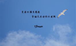 从衣着打扮看穿四大血型