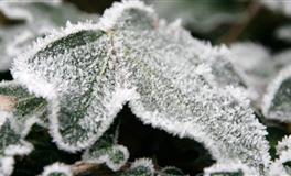 最会吵架的四个星座，吵架从来没有怕过谁，你有没有这样的毒舌