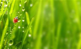 身为爱玩达人，射手座在哪些情况下才会收心？