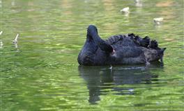 这些星座年底桃花运旺到爆炸