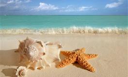 苏珊米勒每日运势2021年12月7日