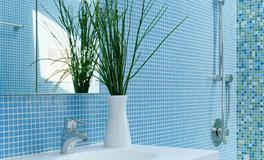 羲邑师姐生肖狗一周运势(12.27-1.2)