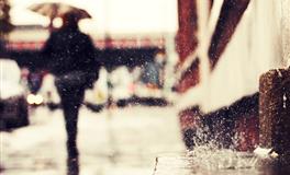 苏珊米勒每日运势2021年12月6日