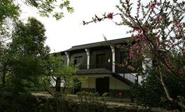 百变巫女白羊座2022年运势