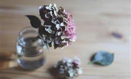 花甜双子座2022年1月运势