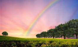 展钰凝射手座一周运势(12.6-12.12)