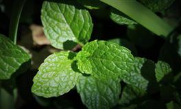 如萱双鱼座2022年运势