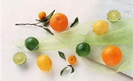 容易玻璃心，一碰就碎的三大星座