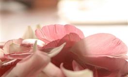 苏珊米勒每日运势2022年2月1日