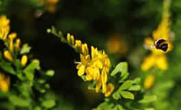 足智多谋，堪称诸葛亮的三大星座，洞察先机，料事如神