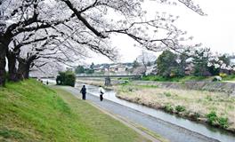 智慧非凡的三大星座，人品极好，擅长为人处世之道，到哪都受欢迎