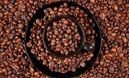 12星座日月性格：太阳双鱼座+月亮摩羯座