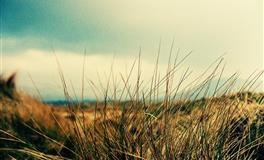 郑博士每周生肖运势（2022.1.17-2022.1.23)