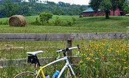 竹猫星球狮子座一周塔罗运势（1.10-1.16）